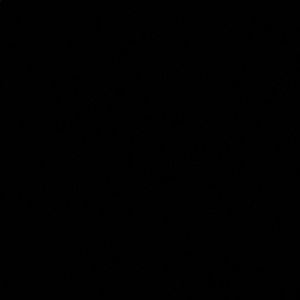 Meet your Posher, Analaura